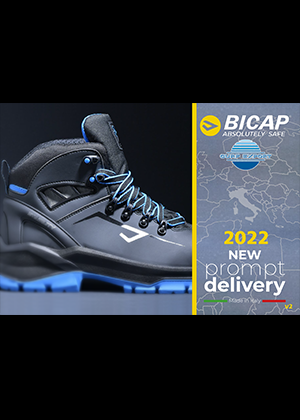 Bicap22v2