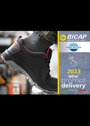 Bicap23v1